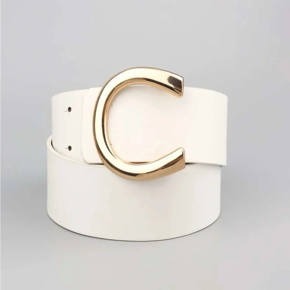 Luxe black high waist gold buckle belt